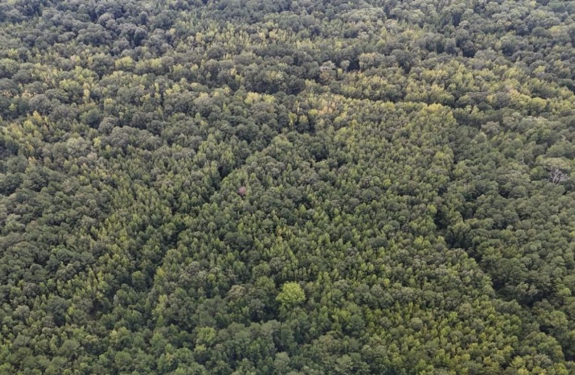 DJI_20250813041635_0618_D