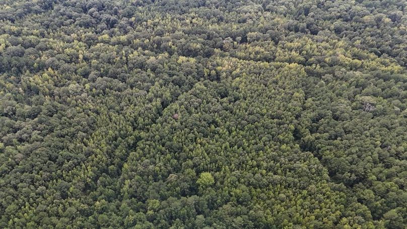 DJI_20250813041635_0618_D