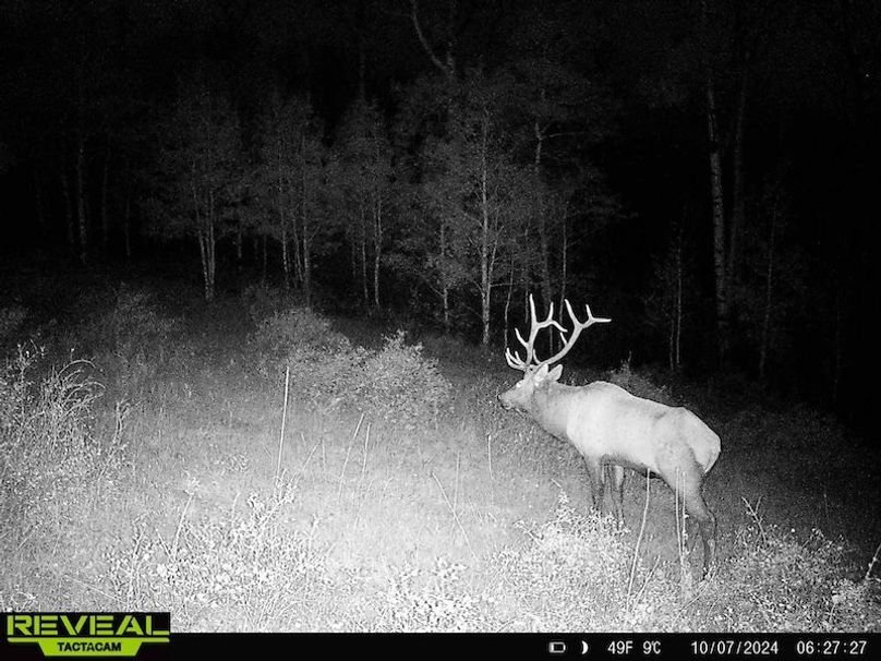 864049052055672-10-4-10072024062728-HD-W1001357 (1)