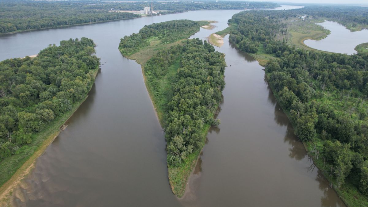 Chain Of Mississippi River Islands On Illinois/Iowa Border Whitetail