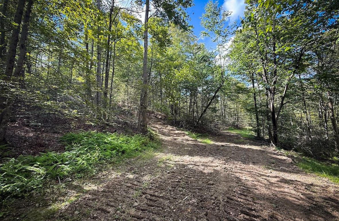 Tompkins_103.12_SusquehannaLandCo_Photos_5