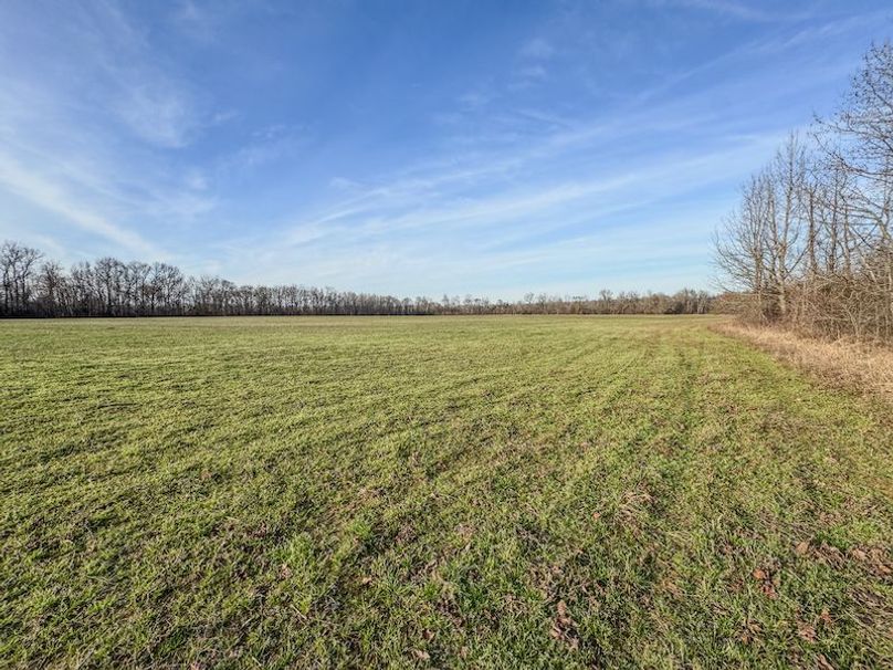 Phillips 8.5 Trahan -13