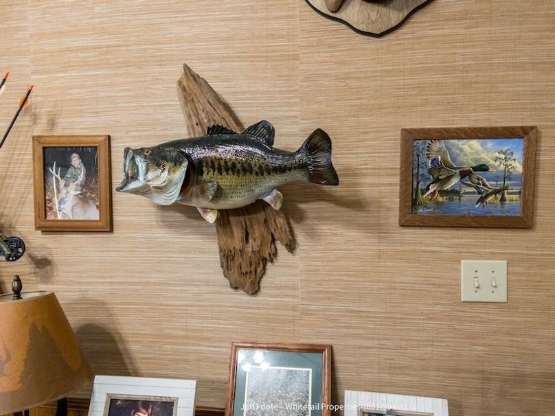 Hinds Co - 39.98 - M Beasley-20