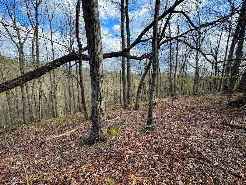 Calhoun, WV 132.84 AC Szegi 2-123