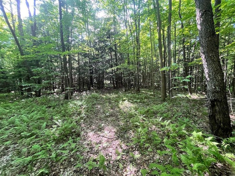 Jefferson_260.3_ Lobach_Photos_52