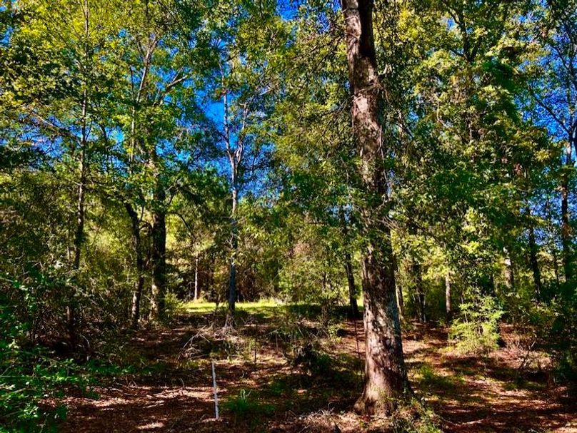 C114D3BF-9FCC-439E-8A1E-2192D014DB34_1_105_c