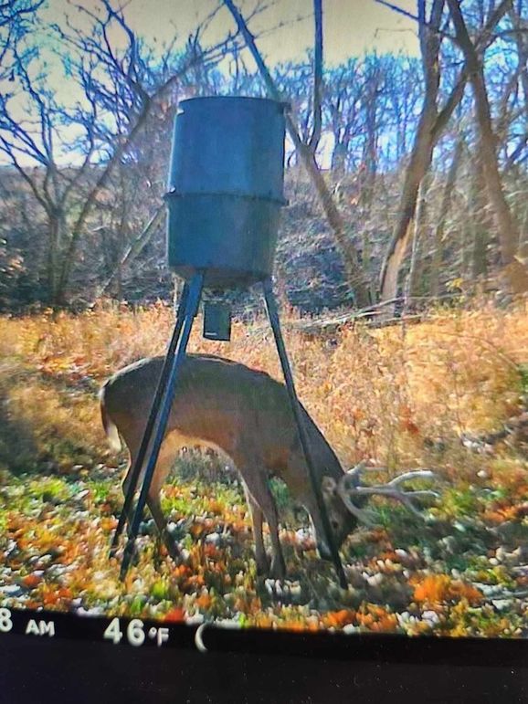 received_450897337375638