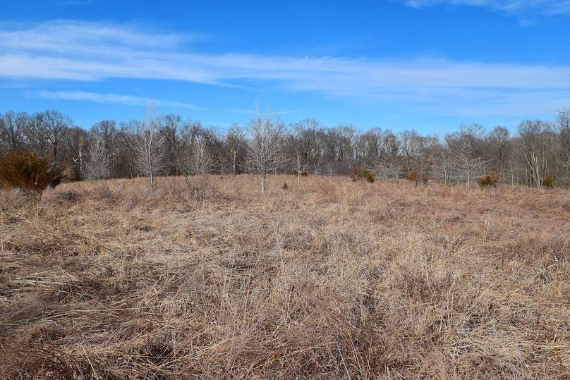 DSC_0314_inPixio (2)