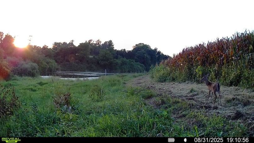 016579006920529-100-4-08312025191056-SYFW00156