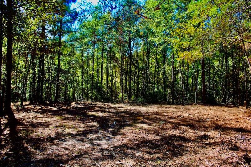 996F0DCB-2BB4-407C-8DC8-42BF458B4532_1_105_c