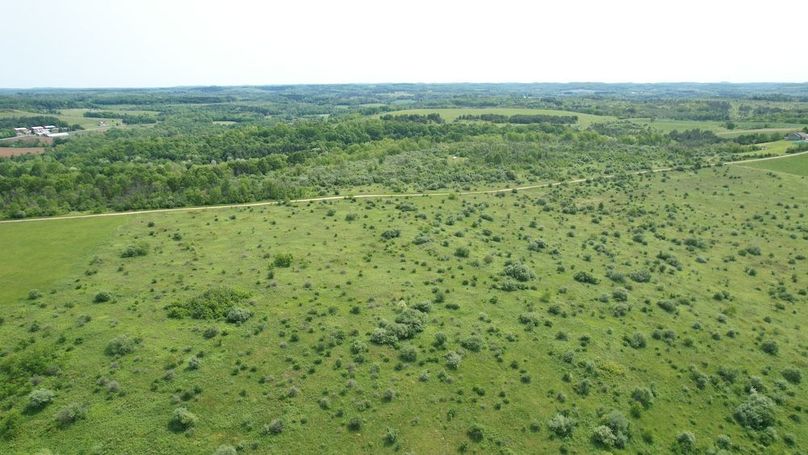 dji_fly_20250602_111816_276_1748877827534_photo