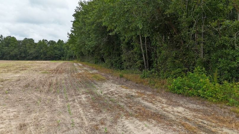 dji_fly_20250715_115802_0615_1752596169699_photo