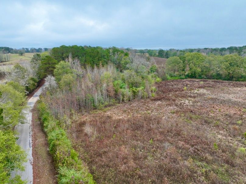 93167C54-A1BA-4260-9319-D785FE71AC73_1_201_a-2