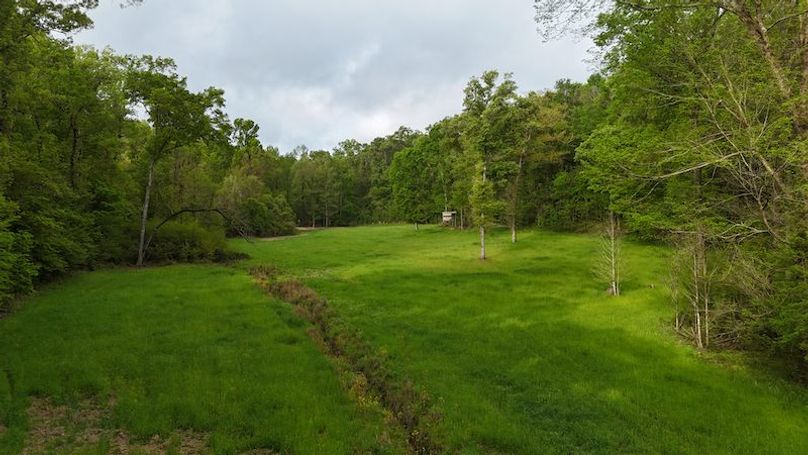 Claiborne Co-314-Fernandez-19