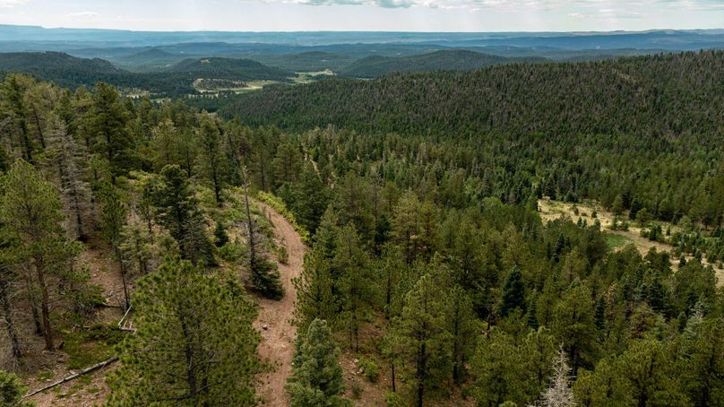 Copy of Los Alamos 508 6-24 Drone-21