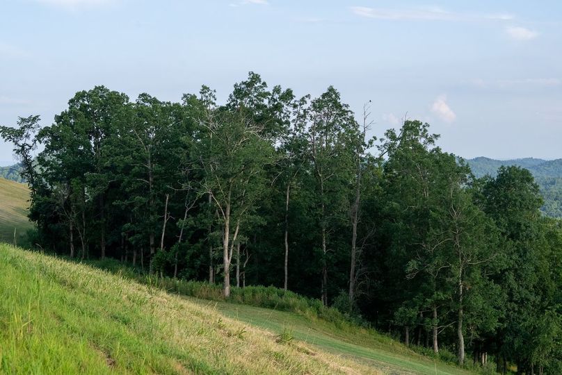 Lewis WV 150 Featured_ProPhoto-105