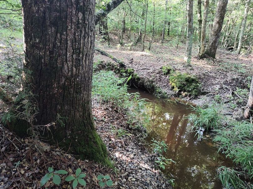 IMG_20250611_180900768