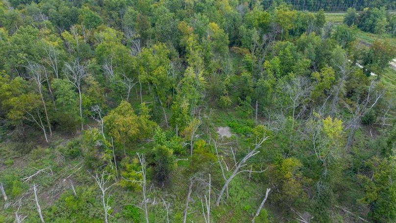 DJI_20250909194642_0027_D