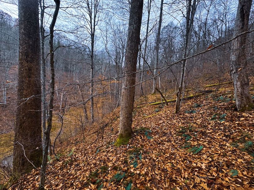 Ritchie, WV 100 AC Harper-28