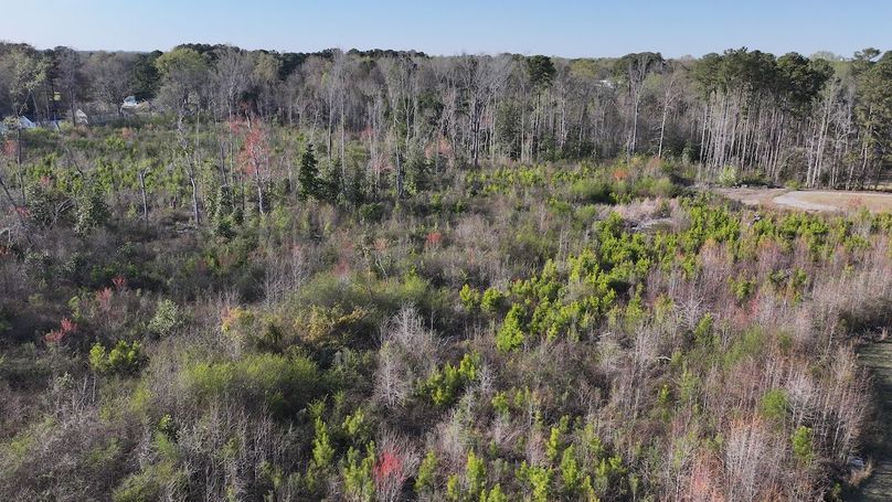 DJI_20240321173705_0069_D