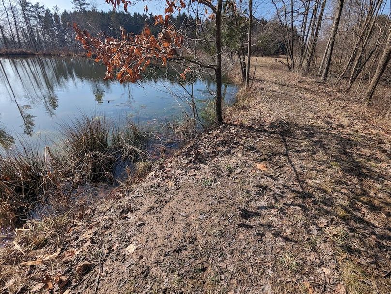 PXL_20240223_164526397