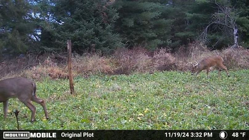 Temp_1082385-20241119213322-100MFCAM_MFDC0546