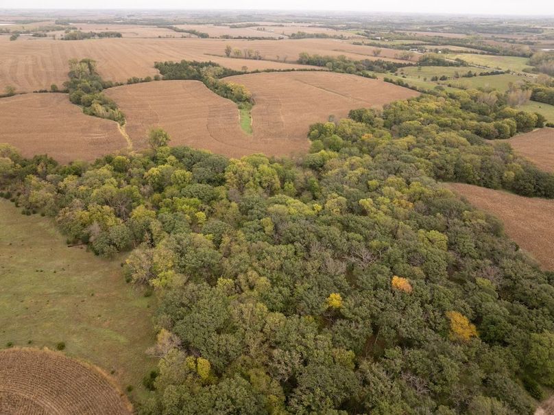 DJI_20251011102413_0153_D