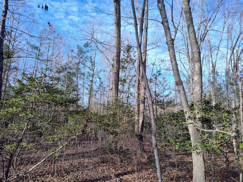 IMG_20260123_150654074_HDR