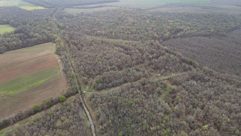 DJI_20260310012231_0011_D