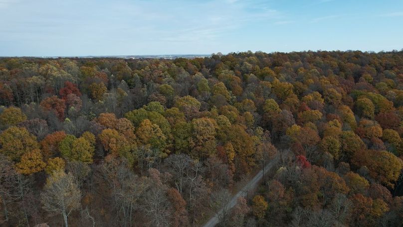 dji_fly_20251105_122124_896_1762380939596_photo