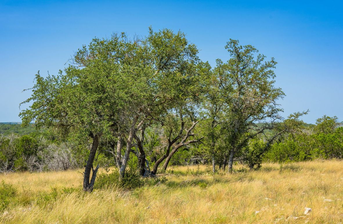 5-web-or-mls-DSC08223