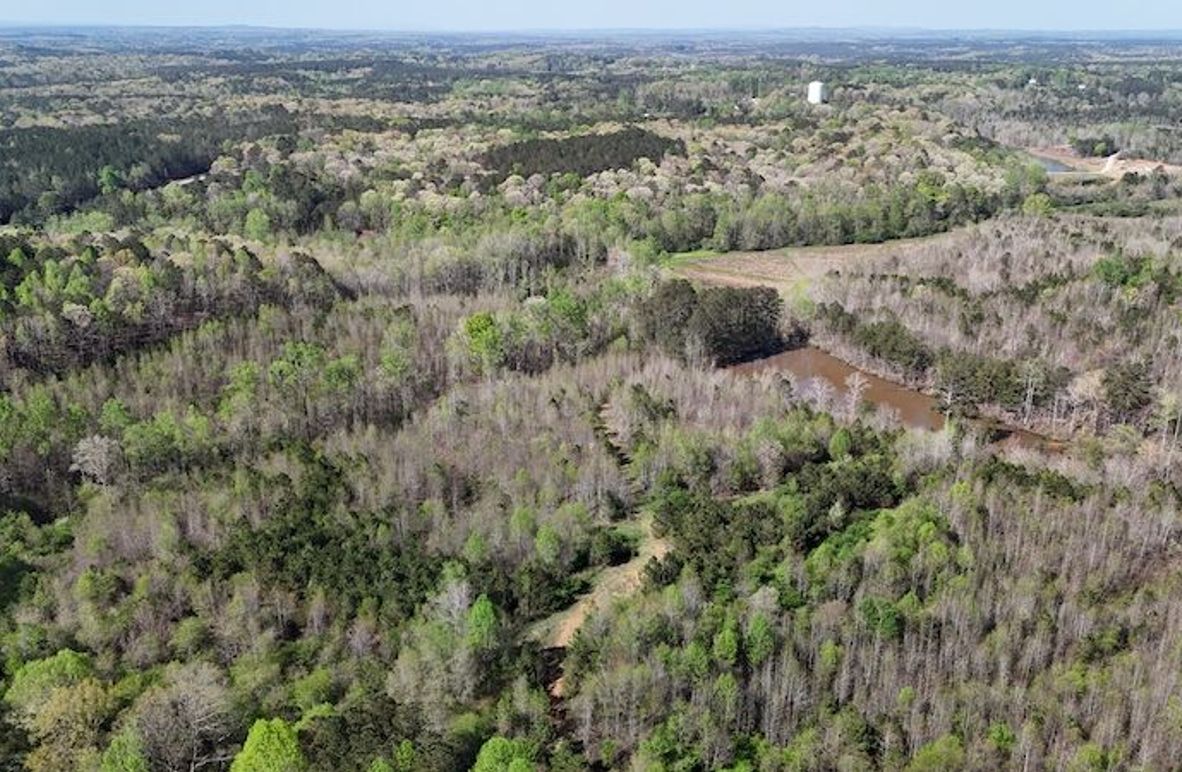 DJI_20250408105936_0099_D