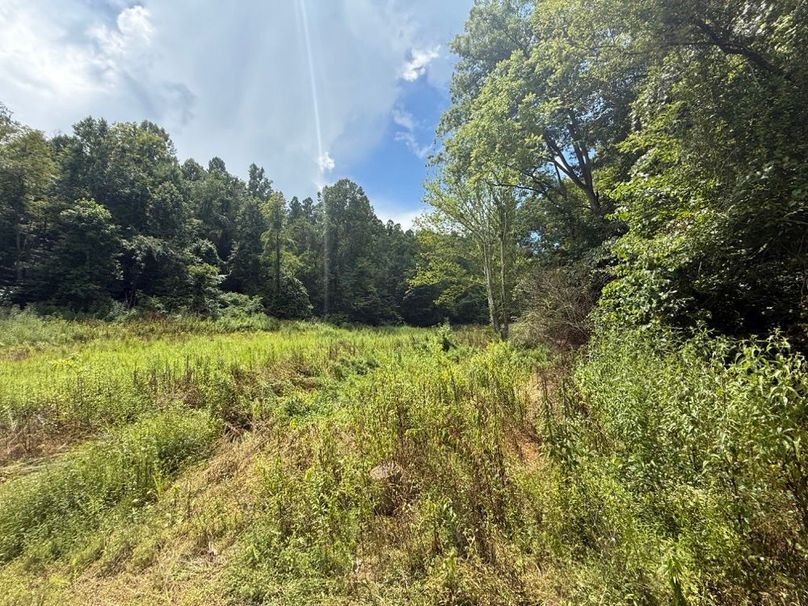 018 one of the open field area near the middle of the property