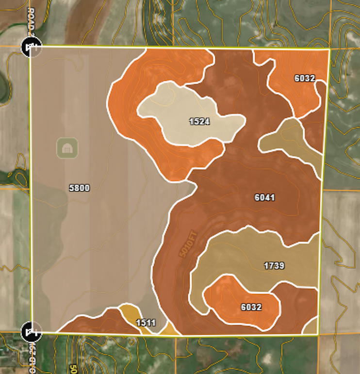 SOILS - PERRY YELLOW