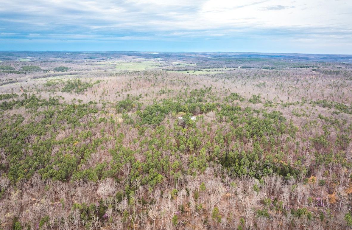 DJI_20250403120239_0561_D