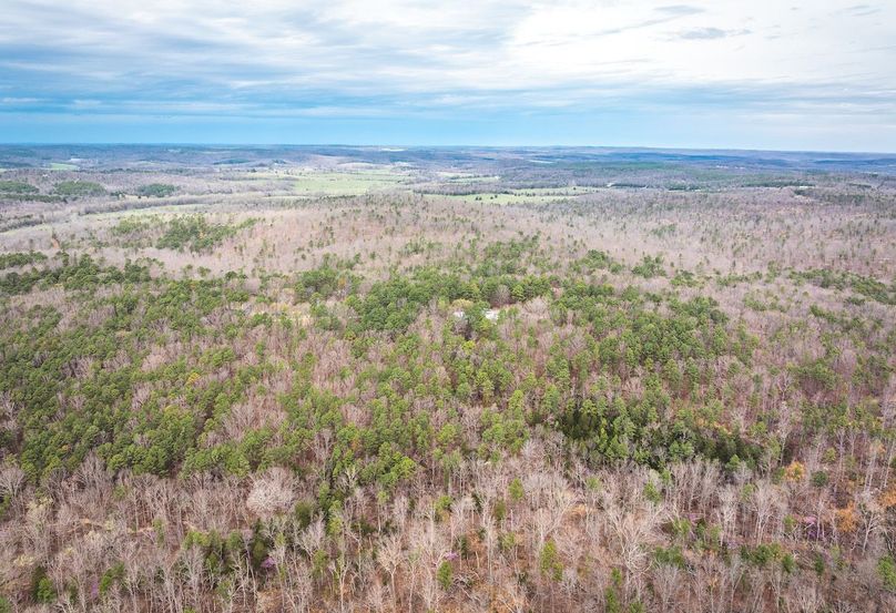 DJI_20250403120239_0561_D