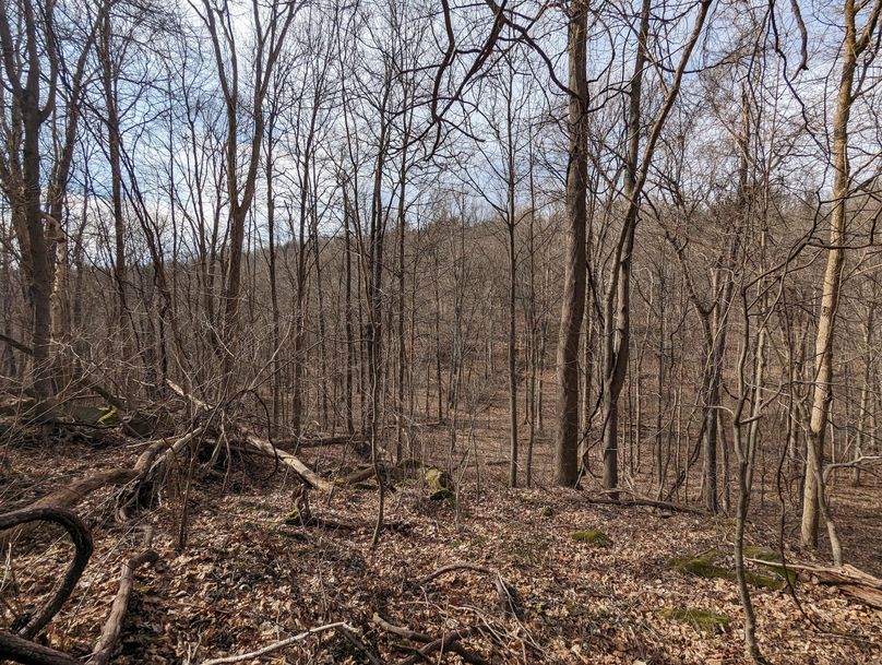 PXL_20230213_163415507