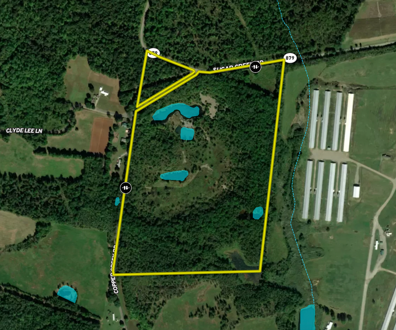 Aerial 1 Close Hopkins 52.92
