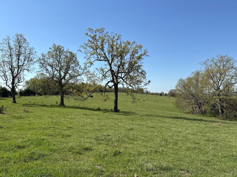 DJI_20260409_102716_310