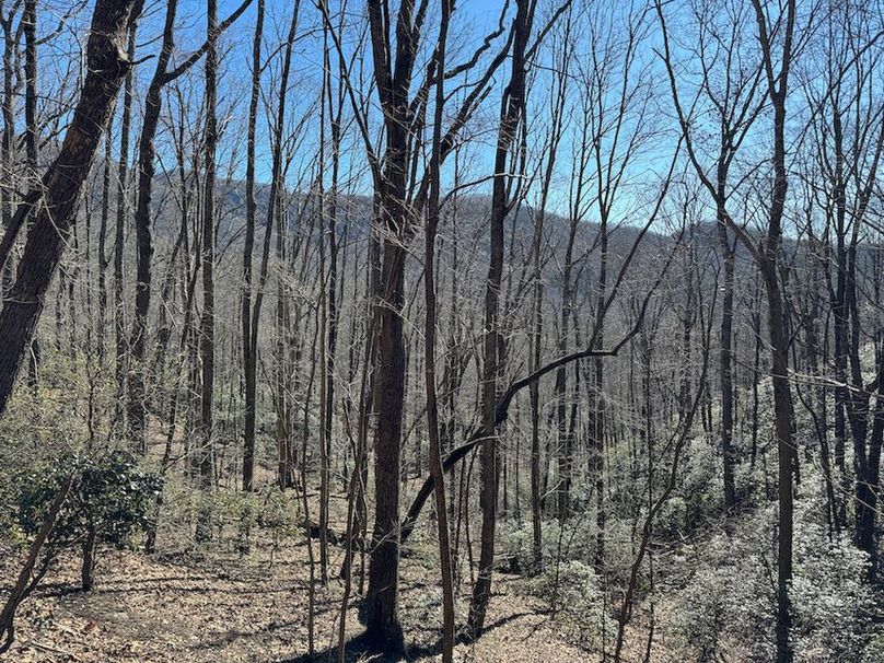 Cherokee 118.85 Harris Top-26