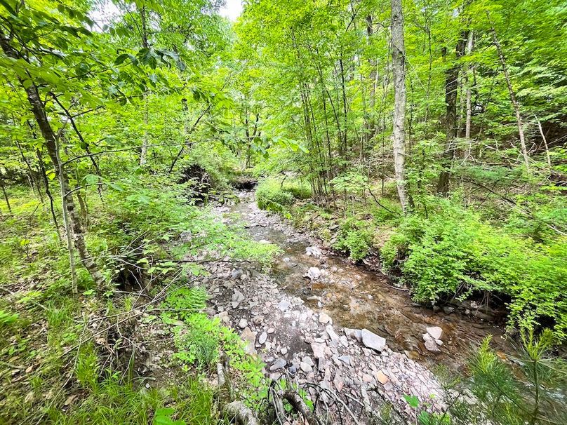 Tioga_31.4_Kemp_Photos_32