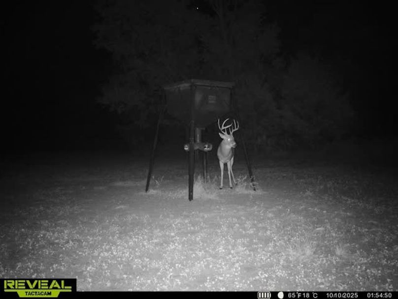 865509050100068-100-2-10102025015507-w1007426