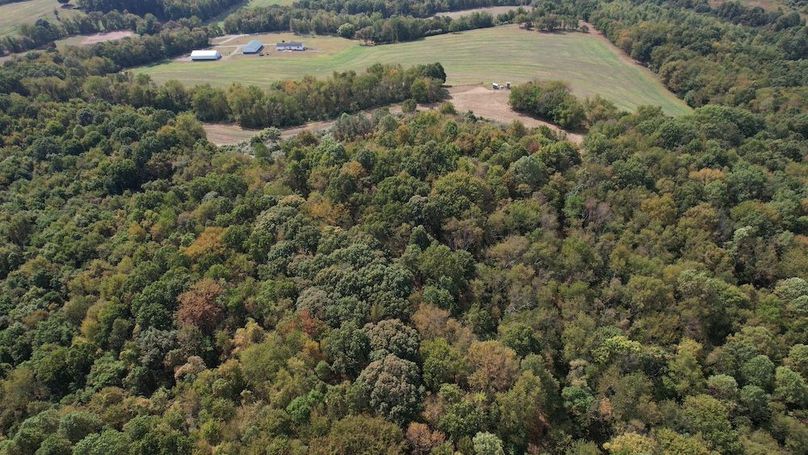 dji_fly_20250916_115130_743_1758038497506_photo