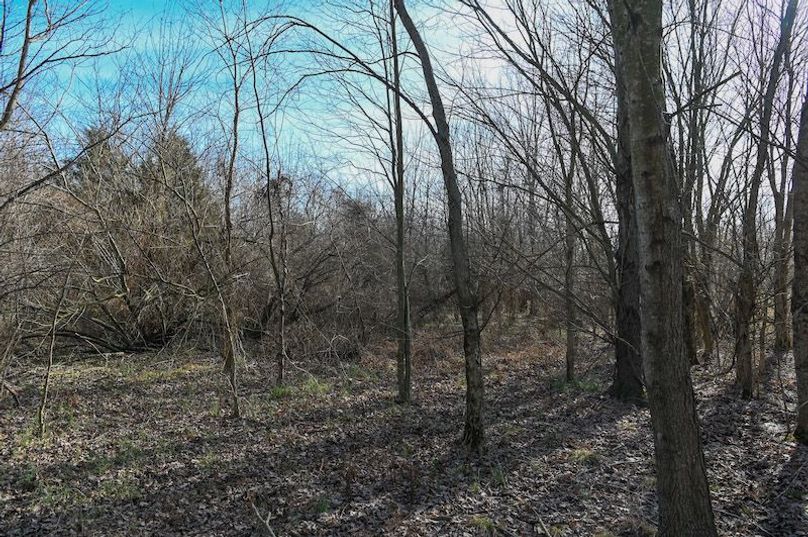 vandalia 450 (2)-1708