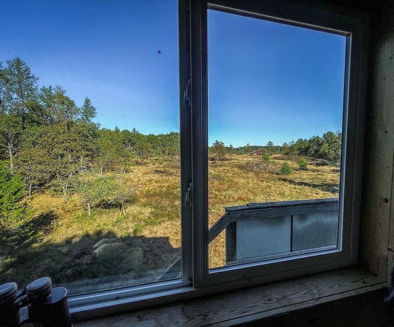 Juneau 27 Wiesner -080