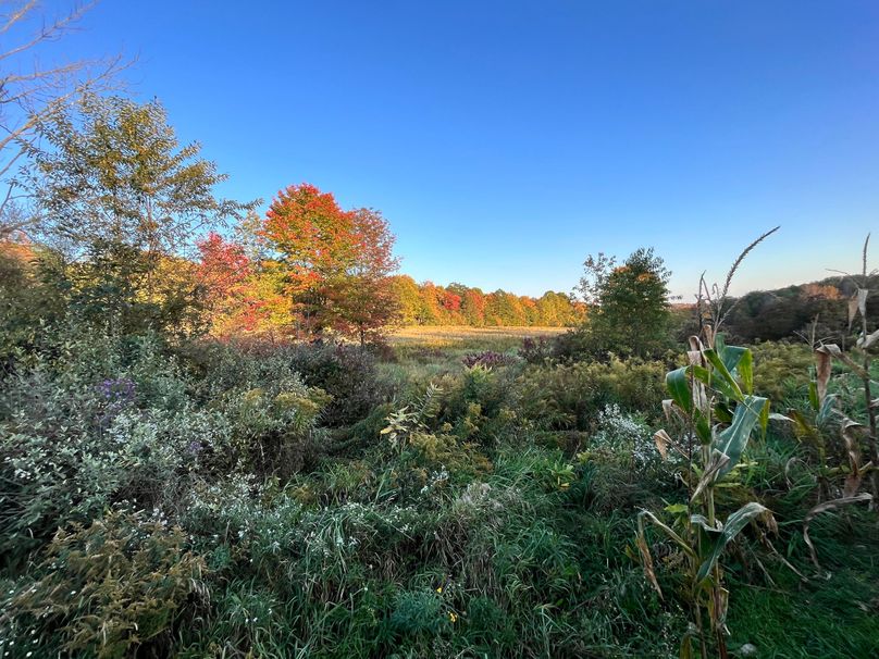 Tioga_47.3_Van Nostrand Photo 44