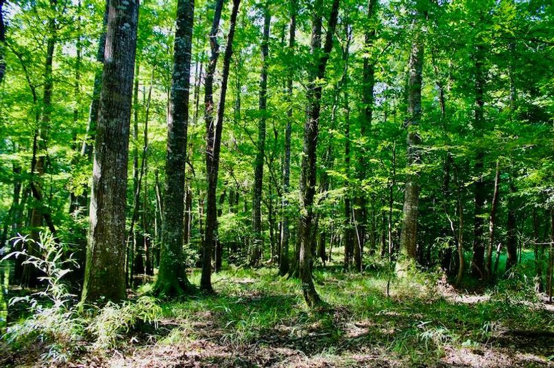 B0C1AB08-AAE4-4E6A-A094-26267DD25208_1_201_a