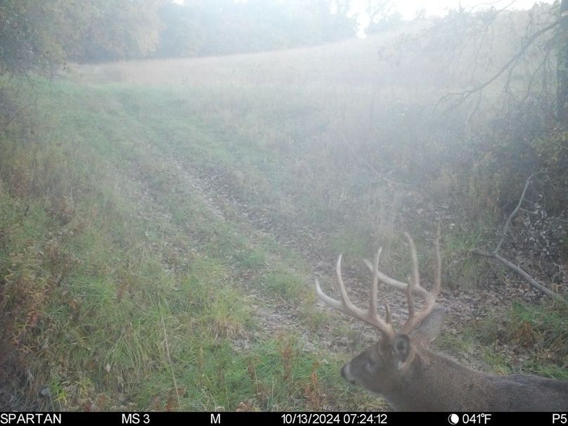 File Oct 13 2024, 3 04 39 PM