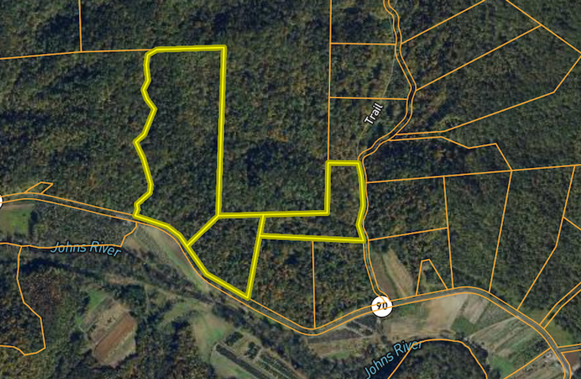 Screenshot 2025-02-25 at 10.05.22 AM