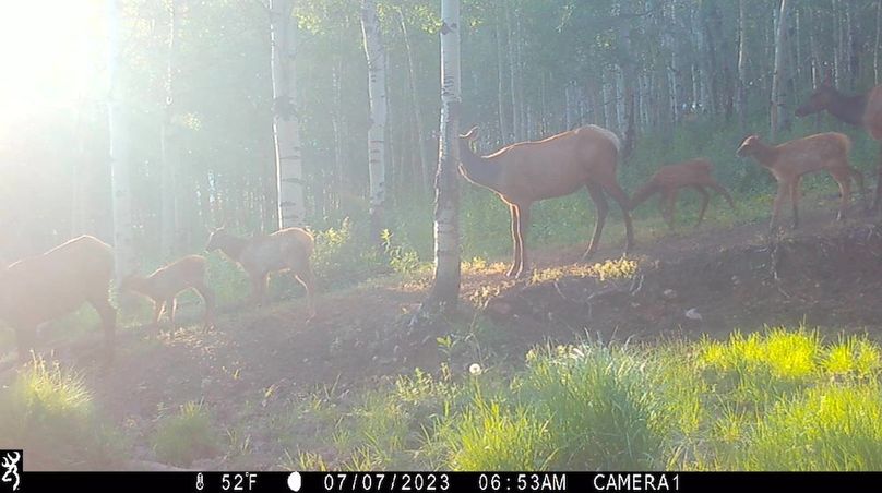 IMG_0209 - frame at 0m8s